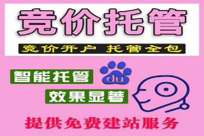 百度竞价广告投放案例：关键词策略与效果分析